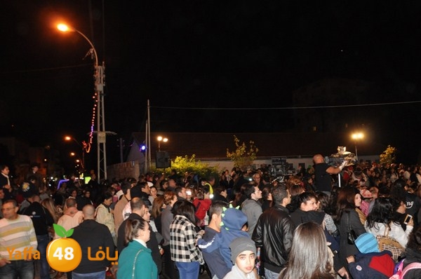 tree light 1208 (50).JPG